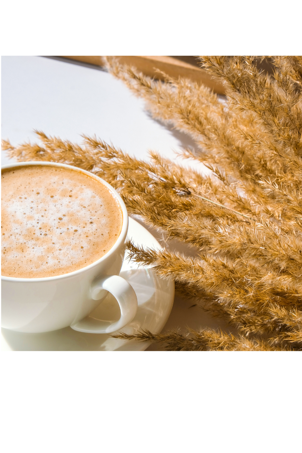 Warm latte in white mug with dried pampas grass aesthetic coffee image used as decorative header for business taxes blog